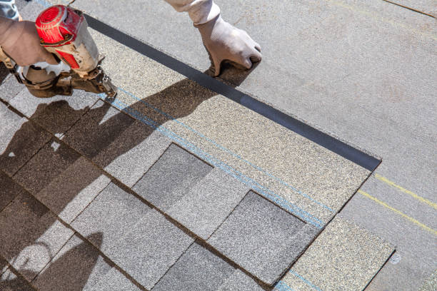 Best Chimney Flashing Repair  in Tierra Verde, FL